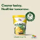 AUSTROPICAL MANGO SORBET 1L.webp